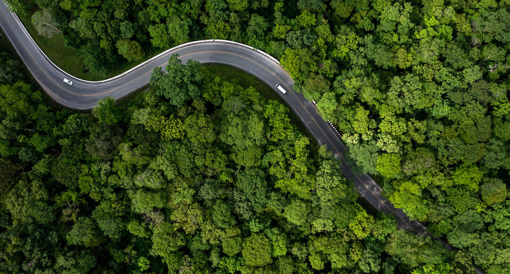 Alternative Fuels for Reducing CO2 Emissions